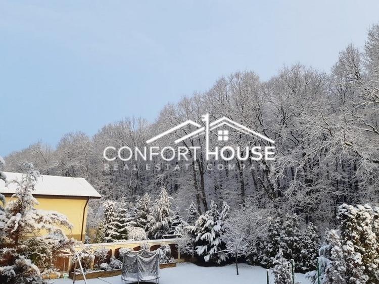 VILA D+P+E+M, 12 camere, piscina , padure, IANCU NICOLAE - 40