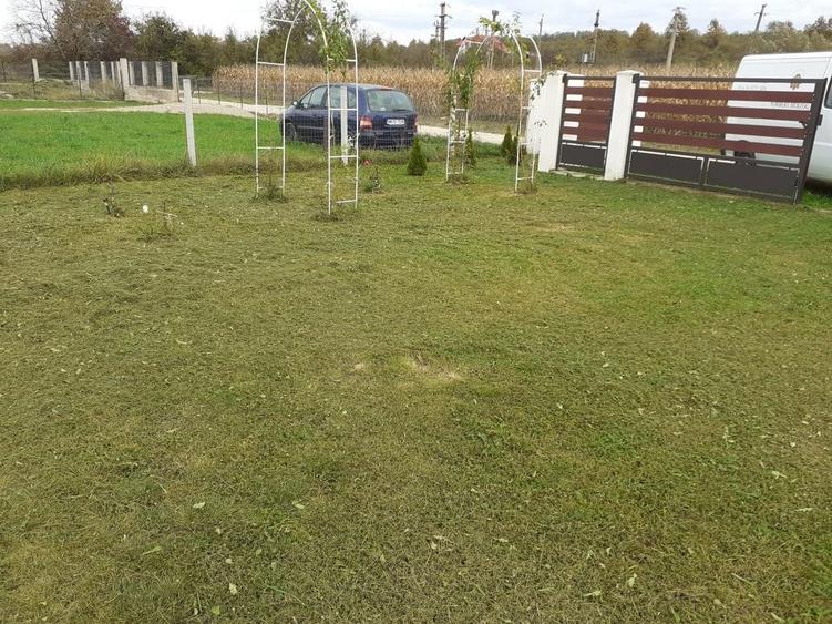 Somcuta Mare intravilan 1500 mp - 1