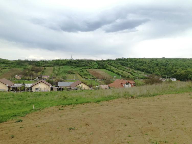 Loturi de casa in Uricani langa padure (Miroslava) - 6