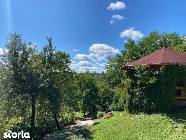 Domeniu exclusivist 17.000 mp | Vila luxury cu piscina & SPA Carbu - 13