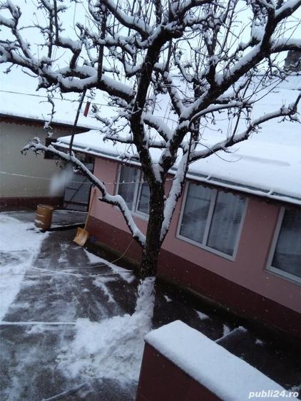 Casa 5 Camere Buda (Lespezi), Iasi - 2