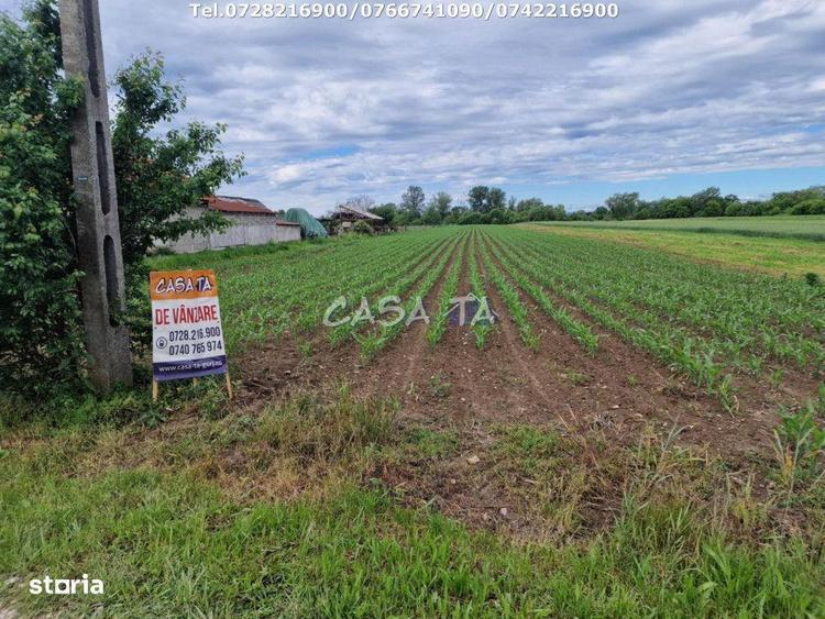Teren de 7500 mp, în Bălești