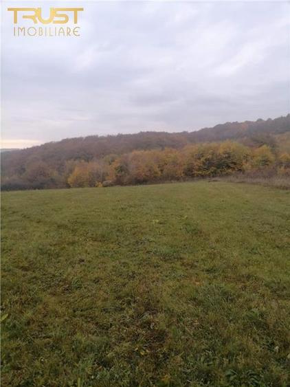 Teren intravilan de 2900 mp, în Corușu