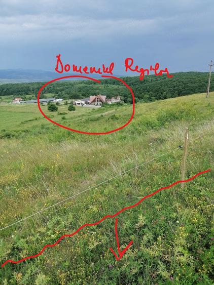 Teren de 3600 mp, în Ciurila