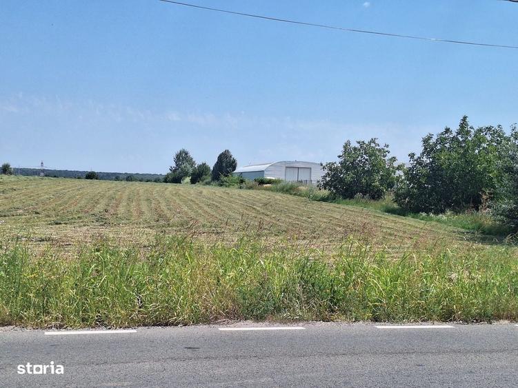Teren de vanzare 23.298 mp | Ciorogarla, Ilfov |Acces rapid A1 si A0 - 11