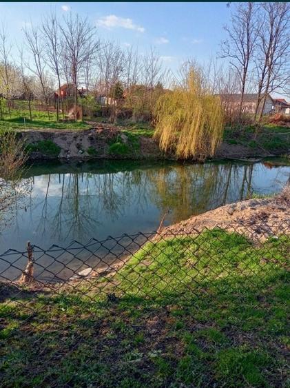 Casa de vinzare in Tarian la 12 km de Oradea - 3