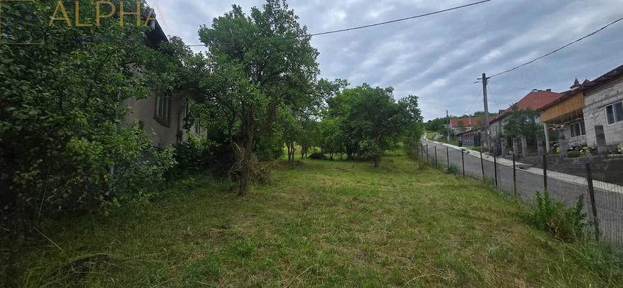 Casă cu 5 camere cu Teren 2320 Mp în Herina