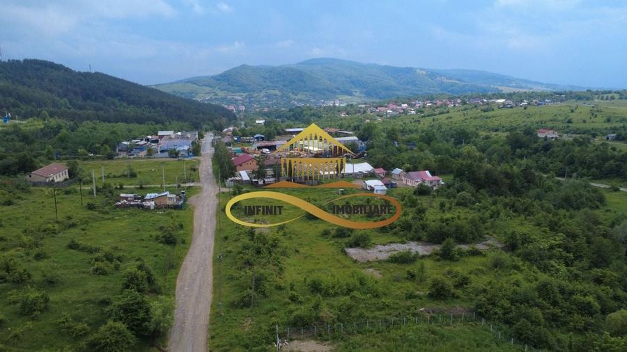 Teren pentru constructie hala indrustriala - Moinesti/Bacau - 4