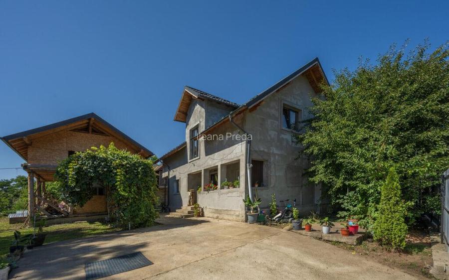 Casa de Maneciu Pamanteni, singur curte