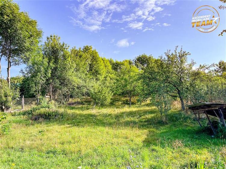 FILM! Casa cu teren generos,vedere pitoreasca, Sancraiu,  aproape de Sfantu Gheo - 51