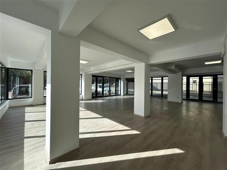 Spatiu Comercial Complet Renovat Elena Doamna - 1