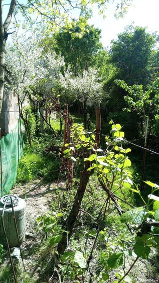 Casa de vanzare,zona Modern - 1