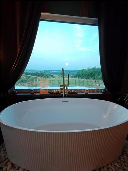 EXCLUSIVITATE! Cabana cu o priveliste unica in Niscov - 5