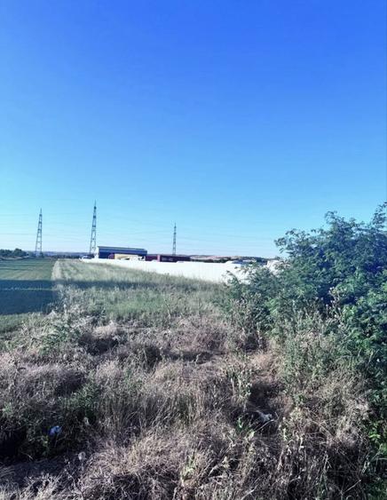 Teren de vanzare - 3