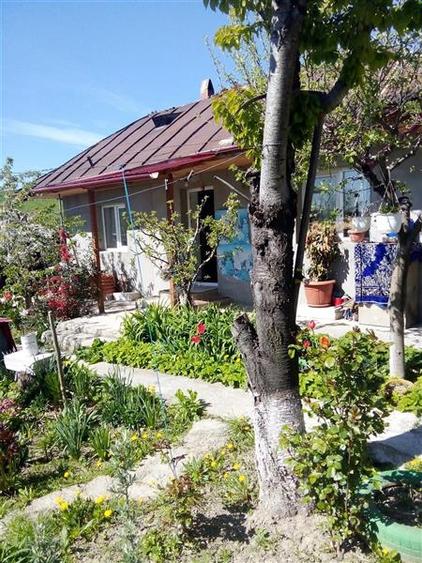 Casă individuală cu 2 camere cu Teren 10000 Mp în Mironeasa