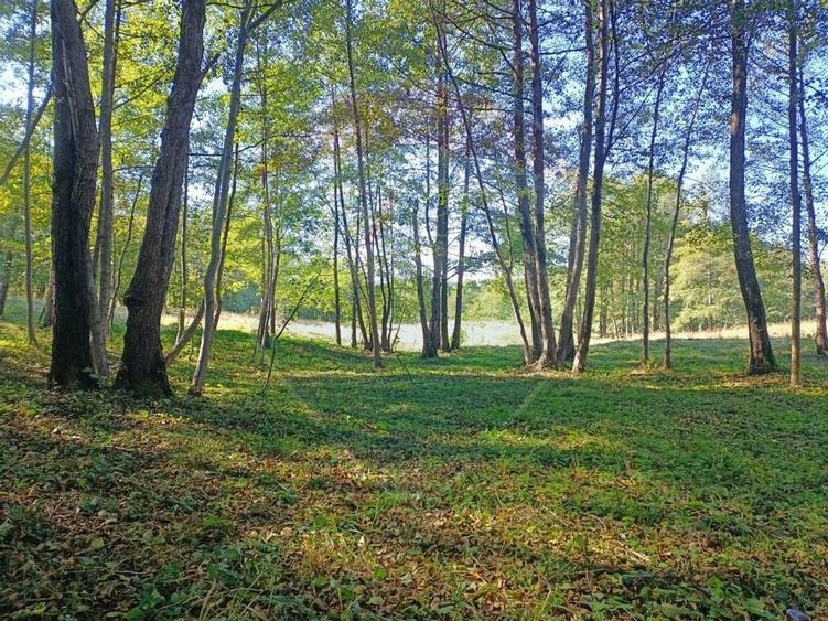 Vânzare casa la munte - zona turistica - Baia de Fier - 33