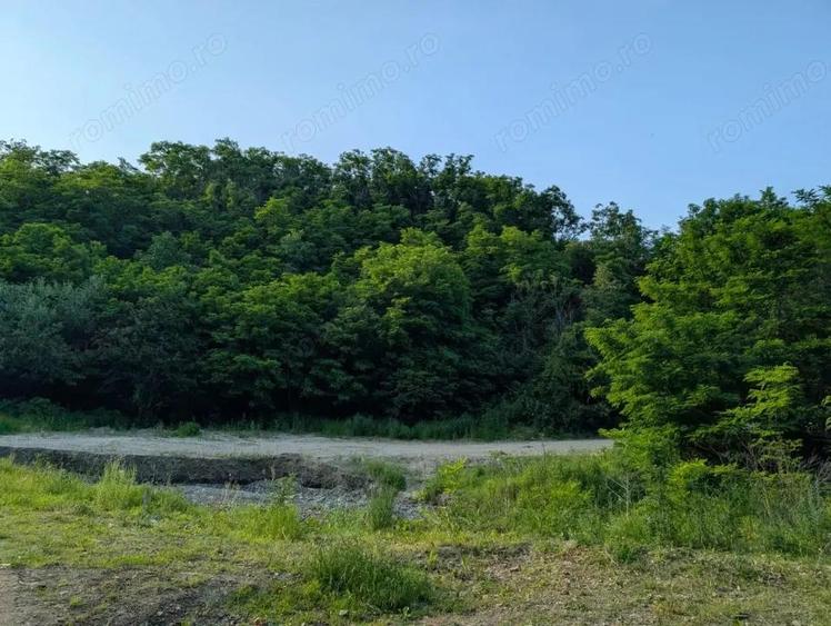 Sarata Bai- Oportunitate investi?ie- 4038 mp- priveli?te spectacol - 9