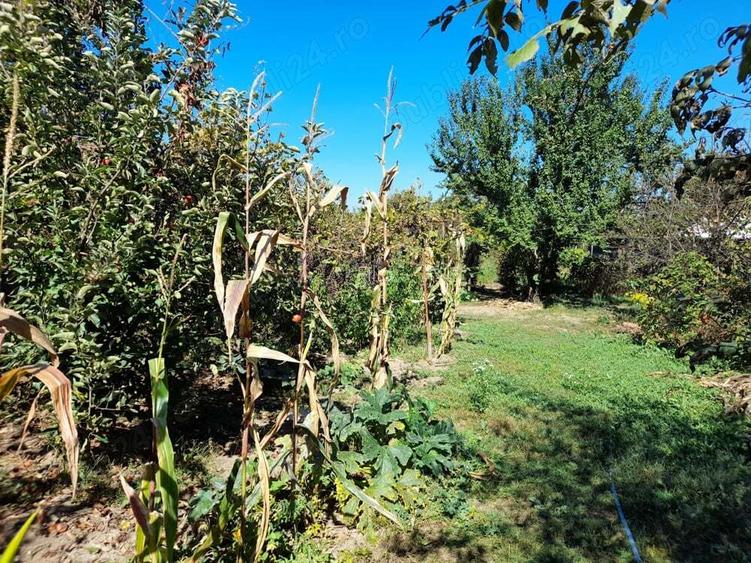 Casa batraneasca locuibila intr-o loca?ie perfecta