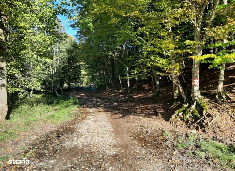 Teren extravilan , 7160 metri Cod:160785 - 4