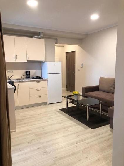 Proprietar inchiriez apartament cu 2 camere in Lugoj - 3