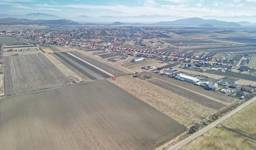 Teren Extravilan, P.U.Z. inceput - 7