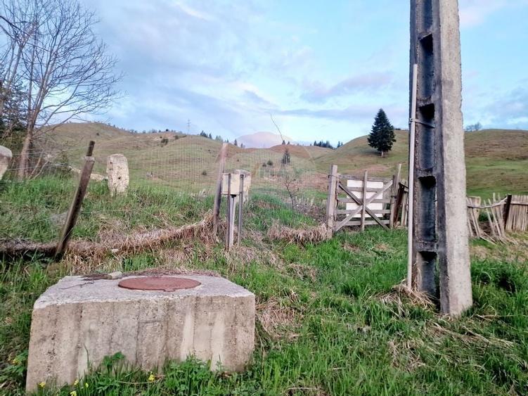 Teren cu vedere la Muntele Ceahlau - 23