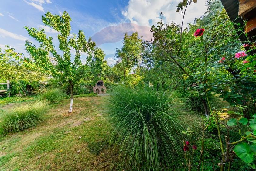 Ferma de cai andaluzi de vanzare - Zadareni - 10