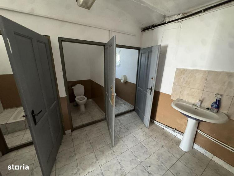 Chirie hala industriala 1250 mp , zona Drumul Careiului - 6