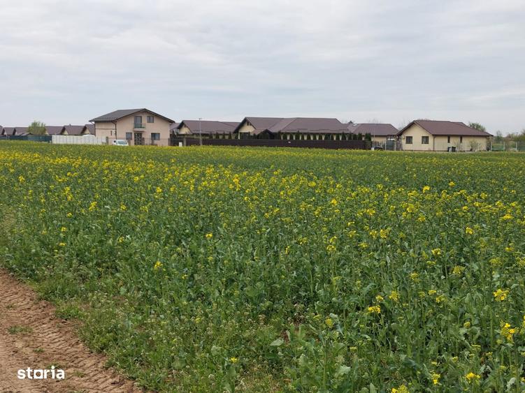 Teren In Balotesti ,str Orhideelor Zona in plina dezvoltare. - 1