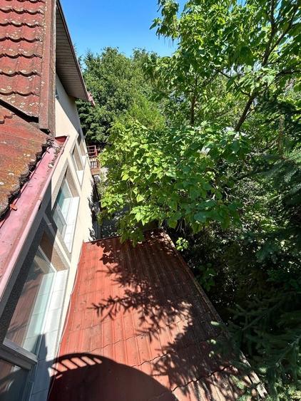 Casă individuală Buftea, 3.162 mp teren, ieșire spre lac - 42