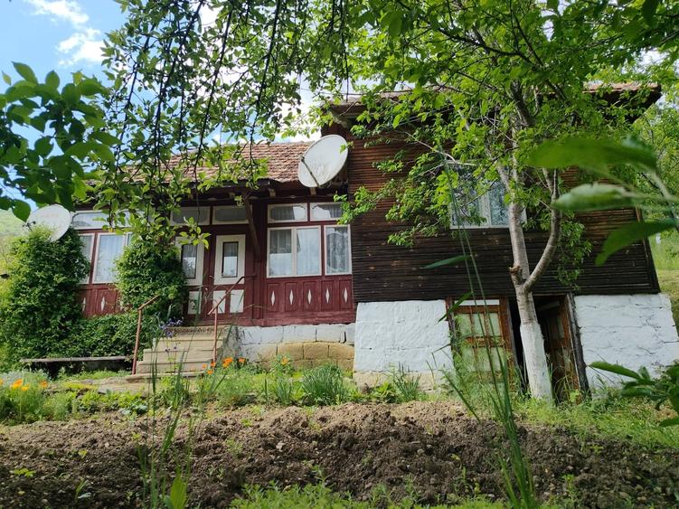 Comuna Gura Teghii, sat Furtunesti, judetul Buzau - 16