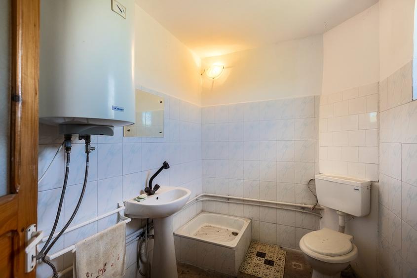 Locație rară: casă între pădure și apă, perfectă pentru un proiect de suflet - 23