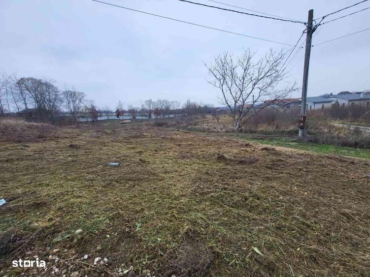 Teren intravilan 647 mp, cu utilitati- Paleu - 3