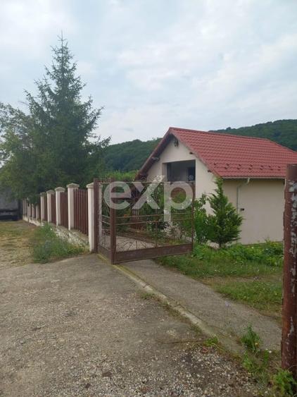 Casă la țară complet mobilată, 5.500 mp teren – Toplița, Mălureni, Argeș - 9