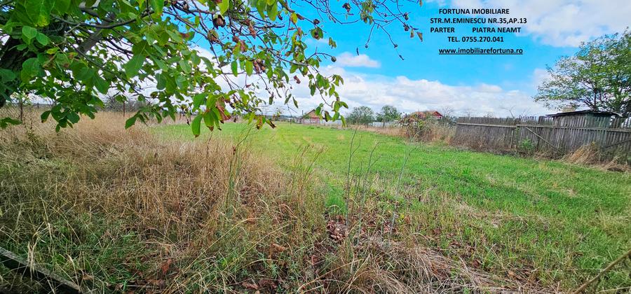 Proprietate Roznov,casa+anexe+teren 3630 mp - 12