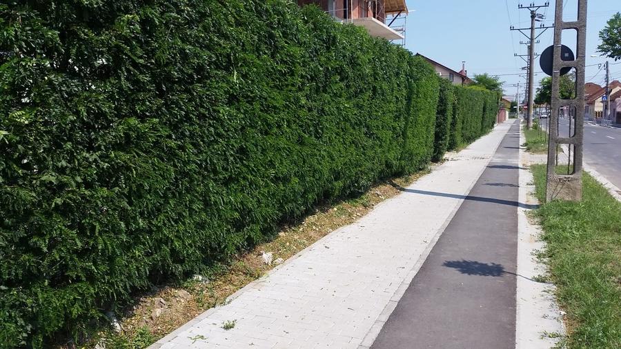 Proprietar, locuinta Calea Martirilor CU LOC PARCARE, langa LIDL - 3