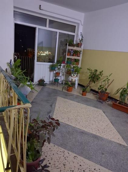 Vand garsoniera etajul 2 open space cu bucatarie inchisa - 5