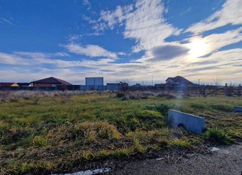 Teren Intravilan Frumuseni - 2