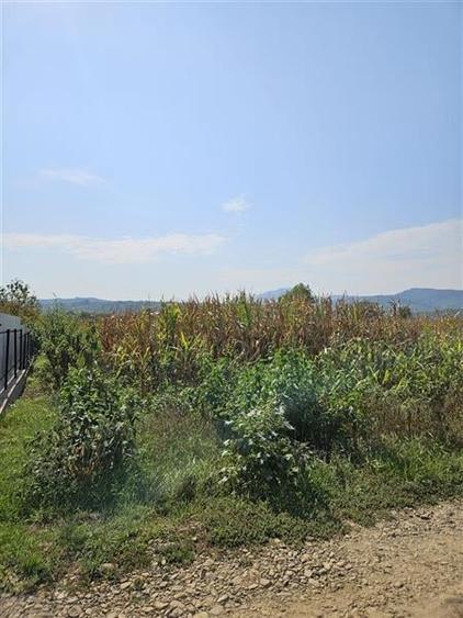 TEREN INTRAVILAN DE VANZARE IN OITUZ JUD. BACAU - 1