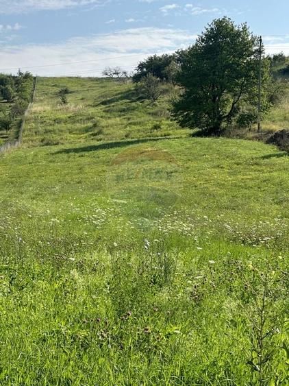 Teren 8,300mp Negresti (Dobreni) / Drumul DEALUL OTEL - 5