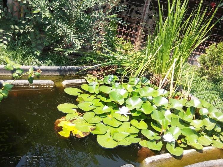 Chiajna - parcul Viitorului - 4