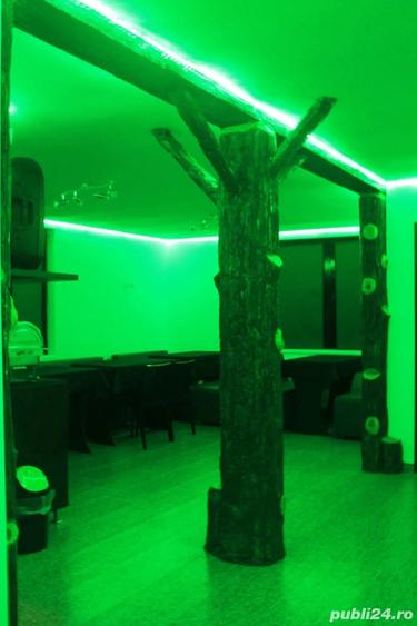 vila, pensiunea, casa de vacanta - 10