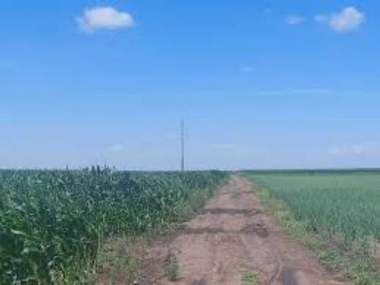 3,6 ha terenuri agricole la Cotofenii din Fata judetul Dolj - 1