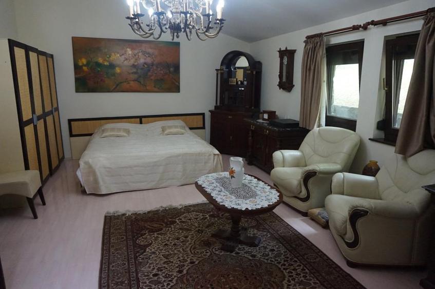 Campina Valea Doftanei Sotrile Paltinu - 3