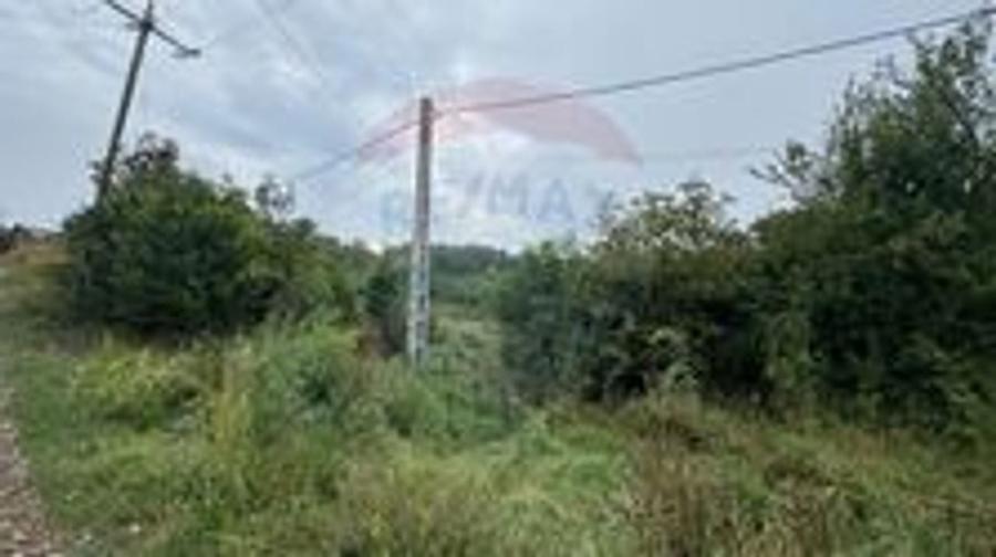 Teren 3542mp Campia Turzii COMISION 0% - 5