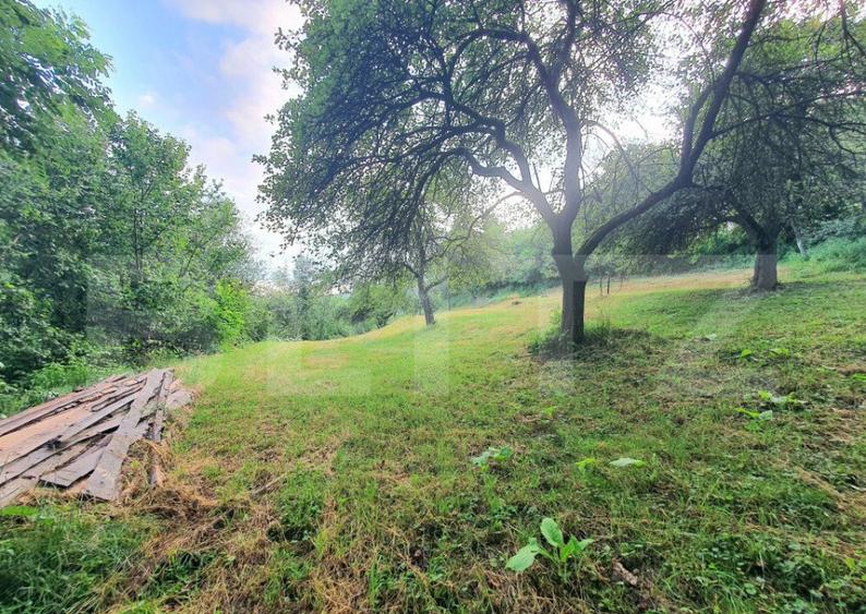 Teren intravilan, 31 ari, Ilva Mica, zona montana - 4