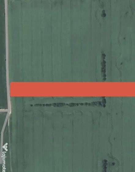 Teren Extravilan Balta Doamnei 10000mp - 1