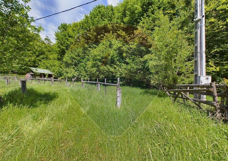 Comision 0%! Proprietate in natura, priveliste superba, S... - 6