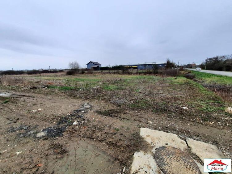Teren intravilan 12216 mp in Vetis construibil - 4