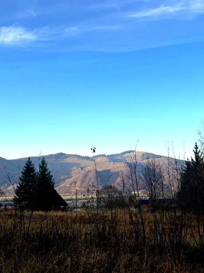 Vanzare 5,3 ha pasune deasupra Voronetului Suceava - Proiect Turistic - 35